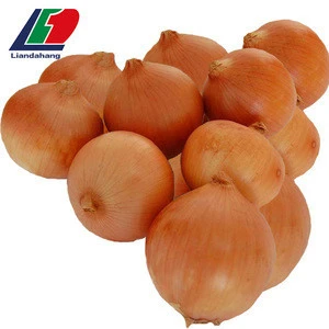 The Newest Crop 50mm Size Red Onion, Bulk Fresh Red Onion Importers In Vietnam for Sale, Fresh Red Onions For Sale