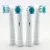 Import toothbrush replacement heads FDA CE RoHs approved from China