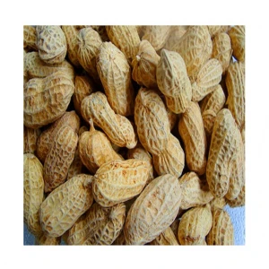 Top Grade Red Skin Peanuts / Blanched Peanut Kernels / Roasted / Salted Redskin Peanuts from VietNam