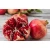 Import TOP QUALITY FRESH ORGANIC POMEGRANATE FROM POLAND from Canada