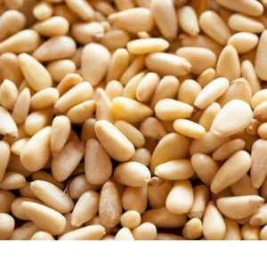 Top Quality Pine Nuts with Wholesale price