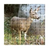 UV  nets used in deer netting fence net field fence deer net hdpe fence netting