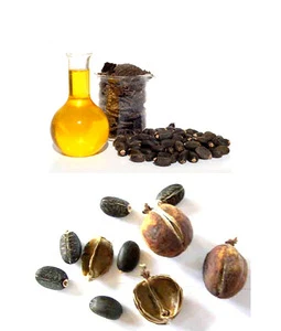 Vegetable Oil/UCO/Used Cooking Oil For Biodiesel / BEST Quality Crude Jatropha Oil