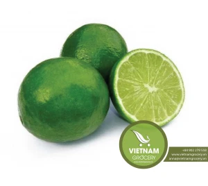 Vietnam Fresh Seedless Lemon Good Price