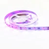 Waterproof 36 leds/m most powerful SMD3535 Germicidal UV LED UVC LED strip With wave length 254nm~275nm