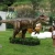 Import Waterproof 3d dino model outdoor animatronic dinosaur for sale from China