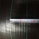We are in the production of 100gsm pp ground cover