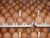 Import Fresh White and Brown Chicken Eggs For Sale from United Kingdom