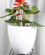 White Modern Flower Pots Planters Plastic Wall Garden Plastic Planters