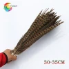 Wholesale beautiful reeves natural pheasant feather for decoration