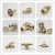Import Wholesale Brass compression pipe fittings from China