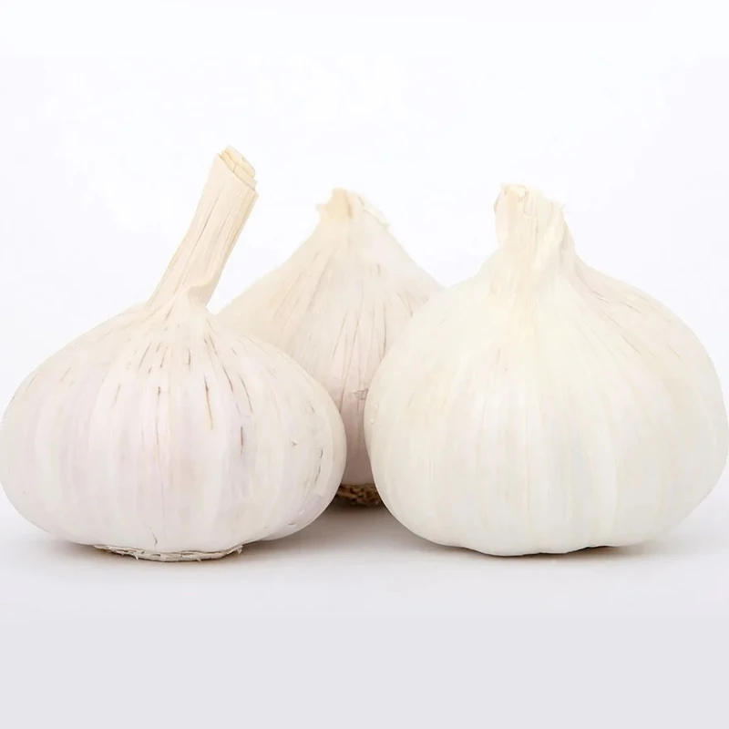 Wholesale China new crop white garlic fresh garlic price