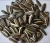 wholesale Dried Style type no.601 sunflower seeds
