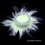 Wholesale Dust Luminous Pigment Fluorescent Neon Photoluminescent Pigment Glow in the Dark Powder for Nail Face Body Paint Decor