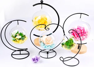 Wholesale Fashional Design and High Quality Glass Moon Metal Frame Glass Ball Vase