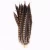 Import Wholesale high quality natural color 30-35CM Brazilian Carnival Lady Amherst Pheasant Feather for performance, catwalk ,carnival from China