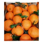 Wholesale Italian Fresh Oranges Fresh Fruit Navel Orange