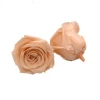 Wholesale Luxury Enchanted Roses A Grade Fresh Cut Forever Preserved Roses In Box Dia. 4-5 Cm