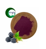 Wholesale 100% natural organic instant pineapple powder with ISO certificate