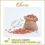 Wholesale Peanuts from Sudan