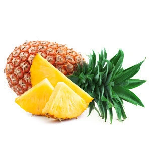 Wholesale Perfect Pact Fresh Pineapples sourced from family farms in the USA