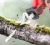 Import Wholesale Portable Power Tools Sabre Miter Saw Electric reciprocating saw garden hand saw from China