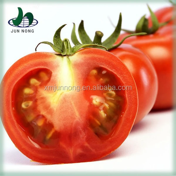 Wholesale price delicious fresh canned tomatoes