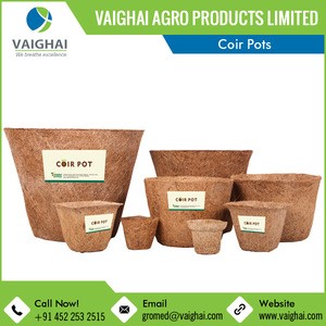 Widely Demanded Biodegradable Coconut Coir Pots for Nursery