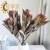 Import Yunnan dried flower wholesale Straw chrysanthemum small Daisy flower head colorful chrysanthemum head from China