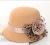 Import Z53869B New Fashion Charming Ladies Outwear Formal Hats from China