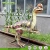 Import Zigong Factory Silicone Rubber Dinosaur Park Projects from China