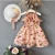 Import zm40381k Lovely baby girl dress beach dresses with hat for kids from China