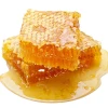 500 pure natural high quality mature honeycomb honey