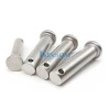 Stainless steel 304 flat head solid rivet with hole