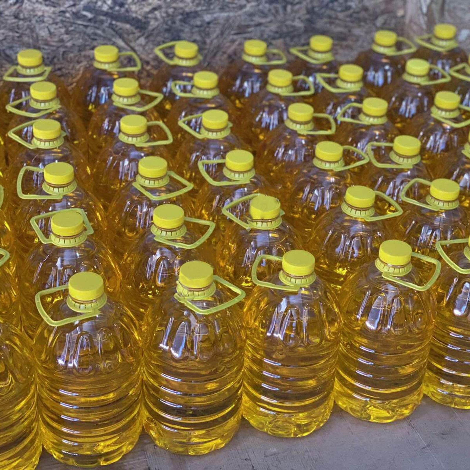 Buy Sunflower Oil from SA Holding, Russia