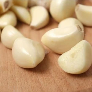 2020 Shandong Cang Shan China, "Super Pure Fresh Peeled Garlic" High Quality for Export