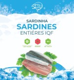 Frozen  fillet sardine