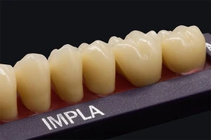IMPLA Synthetic Polymer Teeth