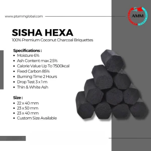 Coconut Shell Charcoal Briquette - Hexa Shaped