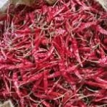 Red Chilli
