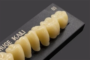 KAILI Synthetic Polymer Teeth
