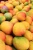Import Fresh Mango from United Arab Emirates