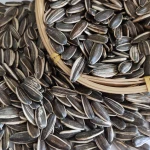 High Grade Sunflower Seeds / White & Black Sunflower Seed Kernels in Bulk from Germany