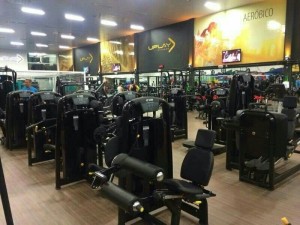 Factory wholesale bodybuilding fitness equipment Rotary Torso strength training equipment