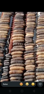Dried Holothuria scabra (sandfish)