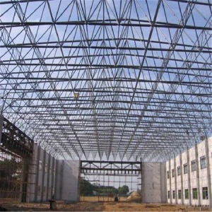 Long-Span Steel Space Frame for Gymnasium Roofing Prefabricated Sport Hall Gym Shed
