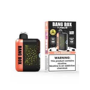 Bang Box Turbo 42,000 Puffs Pod Device Dual Mesh Coil Vaporizer for EU Wholesalers and Distributors