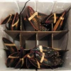Fresh Live Lobster / Wholesale Suppliers Online
