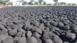 Briquettes