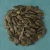 Import Pumpkin Seeds yellow shine skin pumpkin seeds dried White In shell Pumpkin Seeds wholesale Organic from South Africa